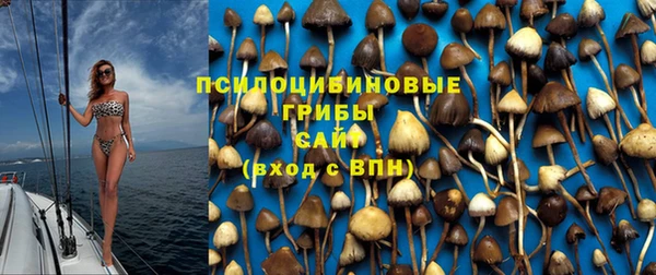 apvp Алексеевка