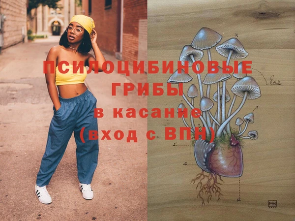 ГАЛЛЮЦИНОГЕННЫЕ ГРИБЫ Абаза