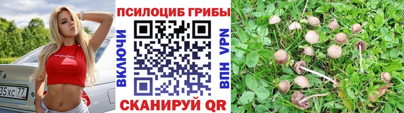 мориарти формула Новоуральск Псилоцибиновые грибы Psilocybine cubensis кракен сайт